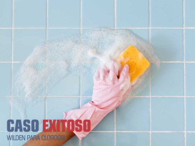 CASO EXITOSO - WILDEN PLÁSTICA PARA CLOROGEL